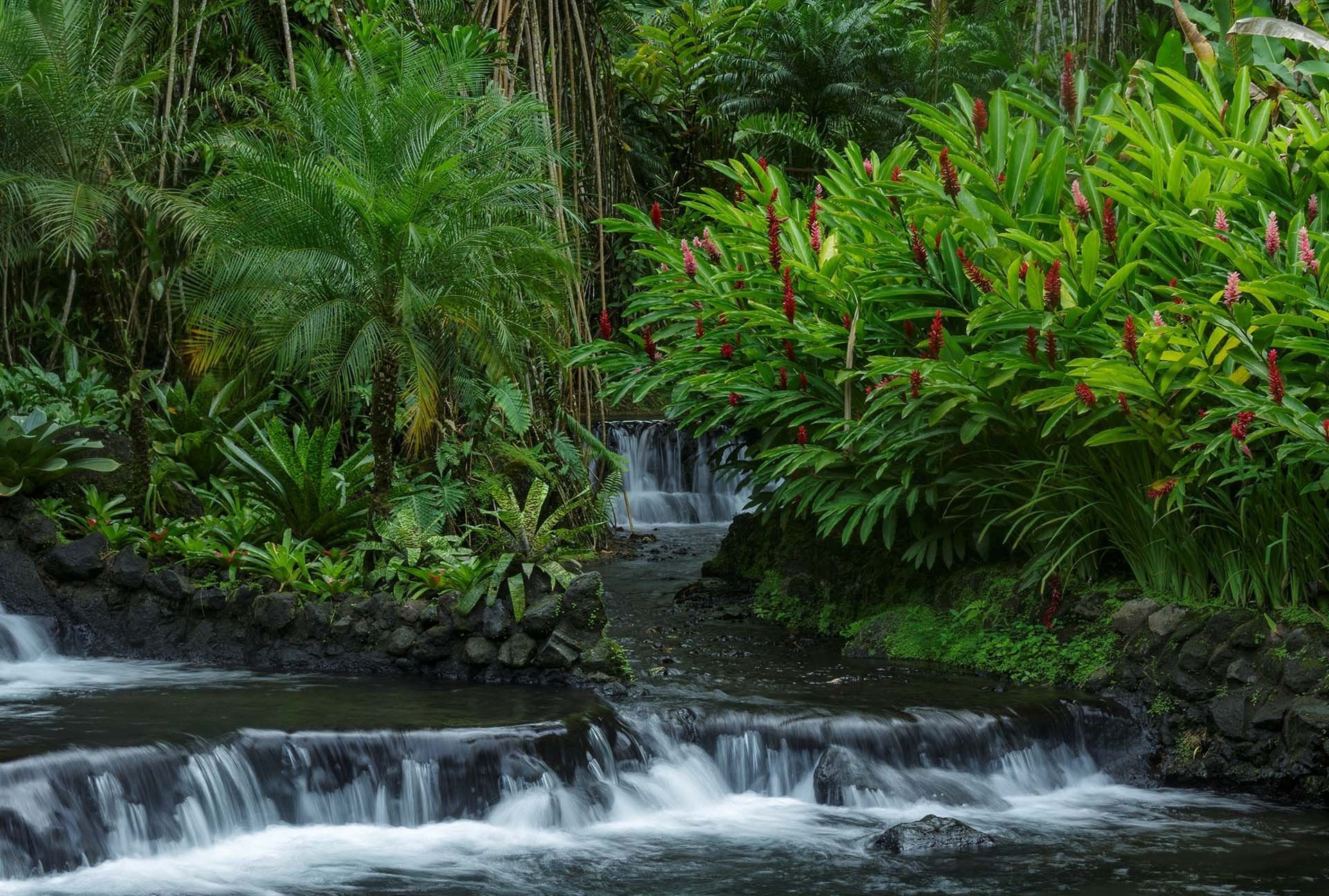 Tabacón Thermal Resort Hot Springs